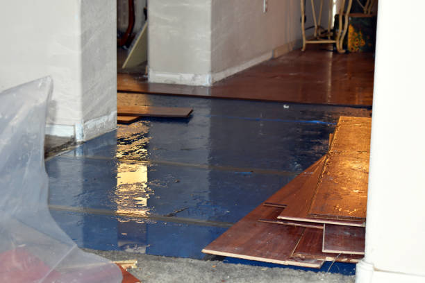 Professional Emergency Water Damage Restoration technician working in Rush City, MN